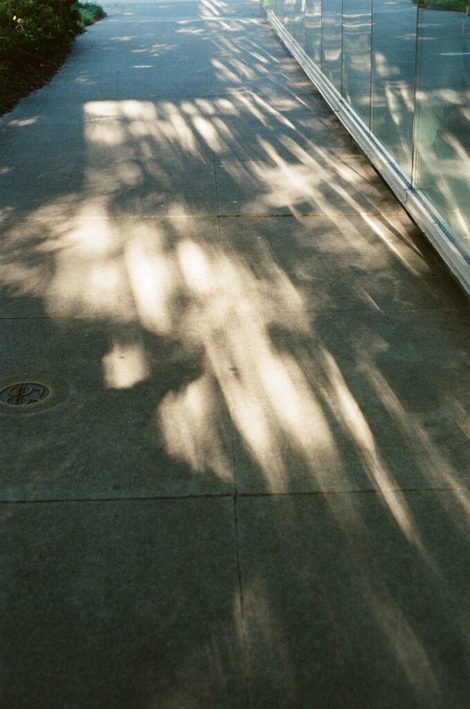 Shadows on Concrete, Atlanta